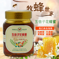 Honey Zhuo Jin five times seed honey 450g rainforest honey liquid honey