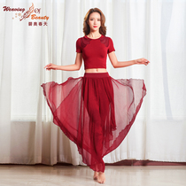 Biao spring yoga suit spring and summer net red new cotton yoga elegant temperament fairy short-sleeved dance rhyme dance suit