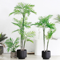 Sicilian simulation green planting potted plant anchoytail bamboo scattered sunflower pendulum plant Nordic home floor interior decoration