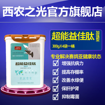 Sinong Light Pigeon Medicine Super Energy Yijia Peptide Plus Bird Saisin Pigeon Medicine Chinese Medicine Powder Live Bacteria Probiotics Yeast Enzyme