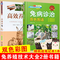 (All 2 volumes)Diagnosis and treatment of super rabbit disease Efficient rabbit breeding Rabbit breeding technology Daquan books High-yield otter rabbit hair Otter rabbit breeding technology introduction guide teaching materials tutorial Large-scale scientific breeding otter rabbit books prevention and control