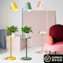 Creative ins Nordic floor lamp Bedroom bedside Macaron Living room Simple modern net black tea several floor lamps