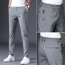 Tide brand summer thin ice silk pants mens Korean version of the trend business slim small feet elastic trousers plaid casual pants