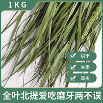 Total Leaf Drying Gansu Alpine mentioning Moshe Grass Spike Rabbit Rabbit Guinea Pig Dragon Cat Dutch Pig Herd Grass Grain