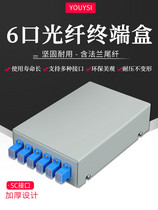 YOUYSI white carrier-grade thickened 6-port fiber optic terminal box single-mode multi-mode SC FC 62 5 125