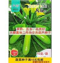 Tianxi fan zucchini seed hybrid generation horsemen Melon Melon Green Melon Melon vegetable seed 10 grams bag