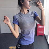 Fitness girl gradient sports short sleeve women slim stretch running yoga top T-shirt quick-dry tights thin