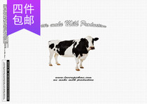 ●JY groceries●Domestic spot Korea loverspickme color physical double-sided wrapping paper