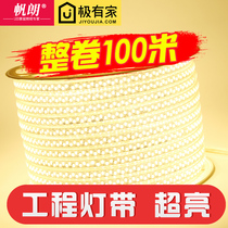 100 m Installation Engineering light with living room led three-color color change super bright outdoor decoration waterproof neon soft light bar 220V