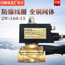 Full copper explosion protection solenoid valve 2W-160-15 -040-10 water valve 4 points 2 points 3 air valve DN15 AC220V