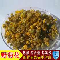 Selected Chinese herbal medicine wild chrysanthemum New Wild Wild chrysanthemum tea small chrysanthemum tea 500g