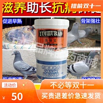 Pigeon medicine pigeon medicine common disease young pigeon Pill brooding long nutrition calcium and phosphorus pills health care racing pigeon