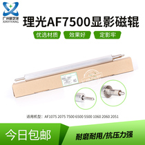 Hairlight AF1075 2075 7500 7500 7001 7001 1060 8001 8000 8000 magnetic stick original