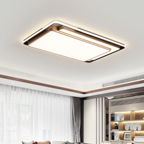 Sunshine Lighting Nordic Series Hui Illumina Ceiling Lamp Wire down payment of homogenous same price