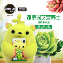 Meile budding bear meat soil universal meat nutrition soil office plant planting mud small bag particles 1L