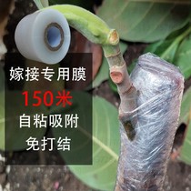 3-15cm Fruit tree grafting film Special grafting tape knotted-free self-adhesive winding film High toughness puncture-resistant pe film