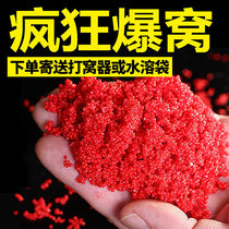 Wo material wild fishing nests pure millet bottom rice Musk rice carp grass carp black pit wild fishing bait fish bait