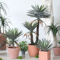  Sicily simulation green plant agave potted indoor floor-to-ceiling large plant Hotel lobby shop landscaping ornaments