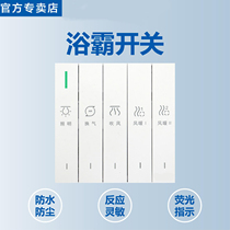 Bath overswitch panel Home Type 86 Type 5 Opening with bathroom waterproof Heating Five-in-one toilet Wind warm words