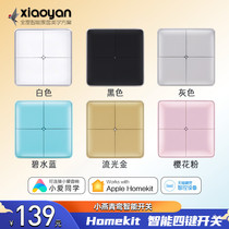 Xiaoyan homeKit Qingluan Intelligent Switch Panel Dual Control Home Remote Control Little Ai Tmall Elf