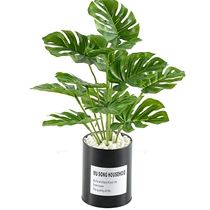 Simulation green plant style simulation flower decoration living room decoration fake flower potted decoration room girl desktop small order