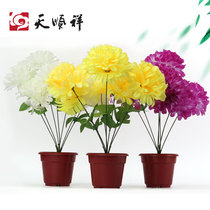 New chrysanthemum small potted flower multi-color simulation flower fake flower Zhongyuan Festival sacrificial grave sweeping supplies cemetery plastic silk flower