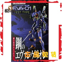Spot Wandai METAL BUILD MB EVA Reversion of the New Century Evangelical Fighter Model