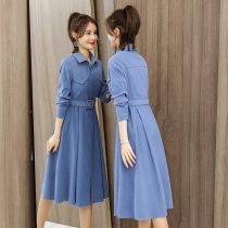 Dress womens autumn and winter new womens Korean version of the long waist thin 2021 spring flow past knee long skirt tide