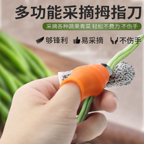 Kitchen peeling vegetables and pinch vegetables thumb knife to pick vegetables