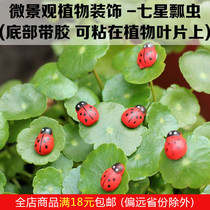 Succulent plant Moss micro landscape ecological bottle creative DIY decoration simulation mini seven-star ladybug beetle