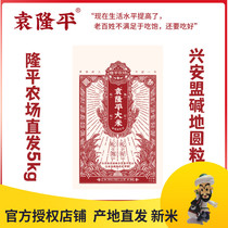 Yuan Longping rice saline-alkali land sea rice 5kg Inner Mongolia Xingan League farm base Rice Rice 10kg vacuum