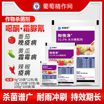  DuPont inhibitory fast net oxazolidone frost urea cyanide grape watermelon tomato downy mildew late and early blight pesticide fungicide