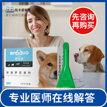 Endedobendii Drops Pet Dog In vitro Deworming Drug 10-20kg Medium and Large Dogs