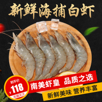 Import Ecuador White Shrimp Sea Trapeze Shrimp Fresh Shrimp Whole Box Frozen Shrimp Based Shrimp Seafood Aqua Prawn Shrimp Green Shrimp
