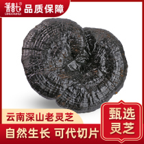Deep mountain wild black Ganoderma lucidum dry Nyingchi pruned purple Ganoderma lucidum can be sliced Yunnan Wild Ganoderma lucidum 500 grams