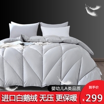 Duvet 95 white goose down quilt winter thickened warm quilt core dormitory single student bedding four seasons Universal