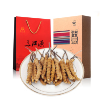 Sanjiangyuan Cordyceps sinensis 10 grams 50 gift boxes Qinghai Yushu Cordyceps high altitude Cordyceps sinensis