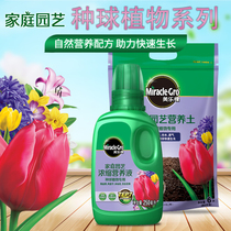 Melo tree seed ball nutrient soil Tulip Hyacinth Calla Lily concentrated liquid fertilizer for flowers and plants