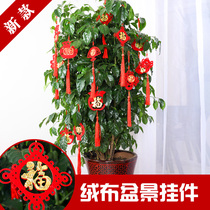 Bonsai small lantern hanging decoration Indoor plant decoration supplies Festival Festive New Year Spring Festival pendant scene arrangement