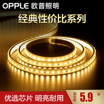 OP LED light strip Living room ceiling colorful color-changing line light patch highlight light strip flexible neon light strip