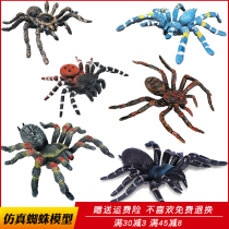 Environmental protection simulation insect Spider toy animal model large black spider set children Science and Education cognitive gift