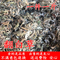 New goods cut section turned white grass 500 grams in the store also bone skin white grass root dry goods 5kg