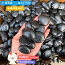 Black Stone Nanning Yuhua Stone Pebble Flower Potted Fish Tank Small Black Stone Gardening Floor Decoration Garden Stone