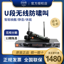 BBS G18 One drag two wireless microphone home stage performance KTV special microphone