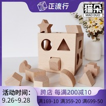 Buckle hole toy baby hand-eye coordination baby 0-1-2-3 years old gouge geometry matching cognitive puzzle box