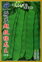 Dutch kidney bean seeds oil beans seeds wide flat kidney beans high yield high disease resistance spring and autumn vegetable seeds