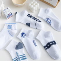 Letters Socks Lady Short Socks Ins Chains Chains Chaumen Basketball Spring Summer Cotton Slim white Student Sport Silo Socks Man