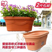 Alice corrugated round pot European resin plastic padded pot balcony planted with fleshy green plant Alice flower pot