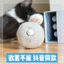 An addictive Catnip Wool ball Furrytail Merino Wool Cat Snack Cat toy ball