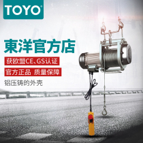 Toyo household hoist small crane Japanese miniature electric hoist 250kg electric hoist 60m